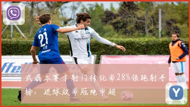 武磊本赛季射门转化率28%领跑射手榜，进球效率冠绝中超